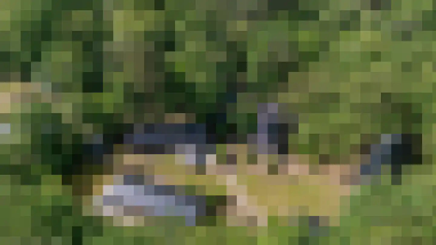 Oude Benderseweg 11 624 Ruinen thumbnail 50