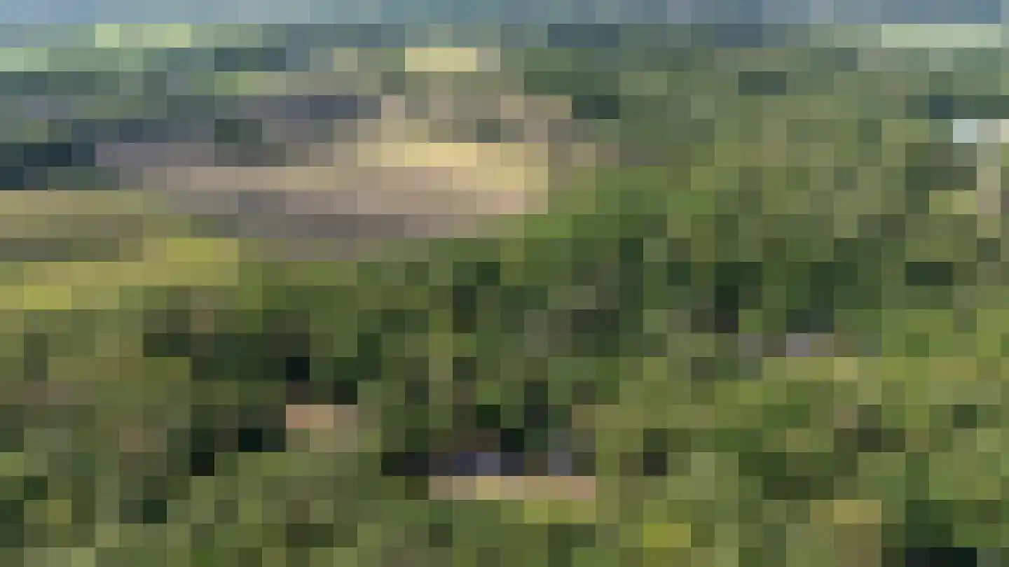 Oude Benderseweg 11 624 Ruinen thumbnail 51