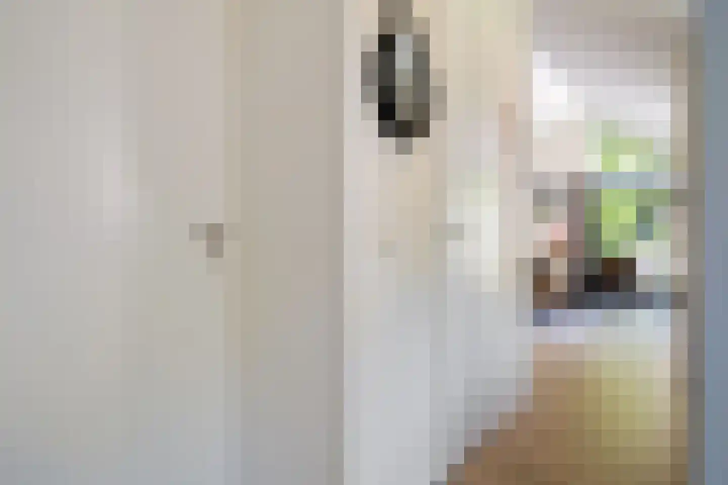 Oude Benderseweg 11 624 Ruinen thumbnail 6