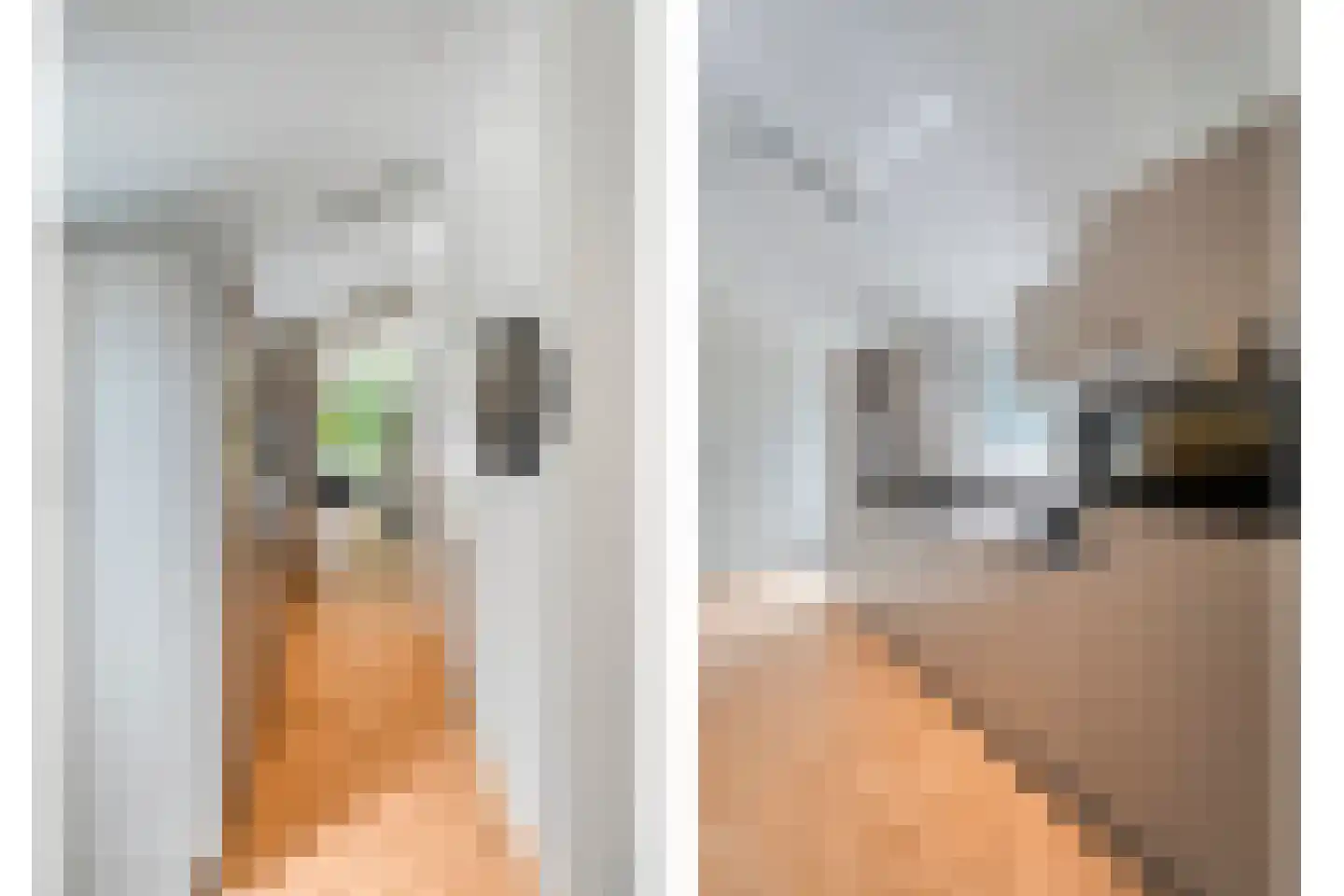 Oude Benderseweg 11 632 Ruinen thumbnail 13