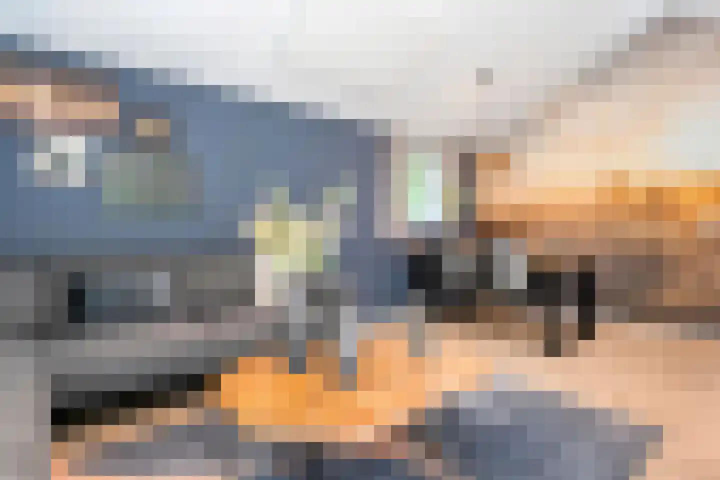 Oude Benderseweg 11 632 Ruinen thumbnail 20