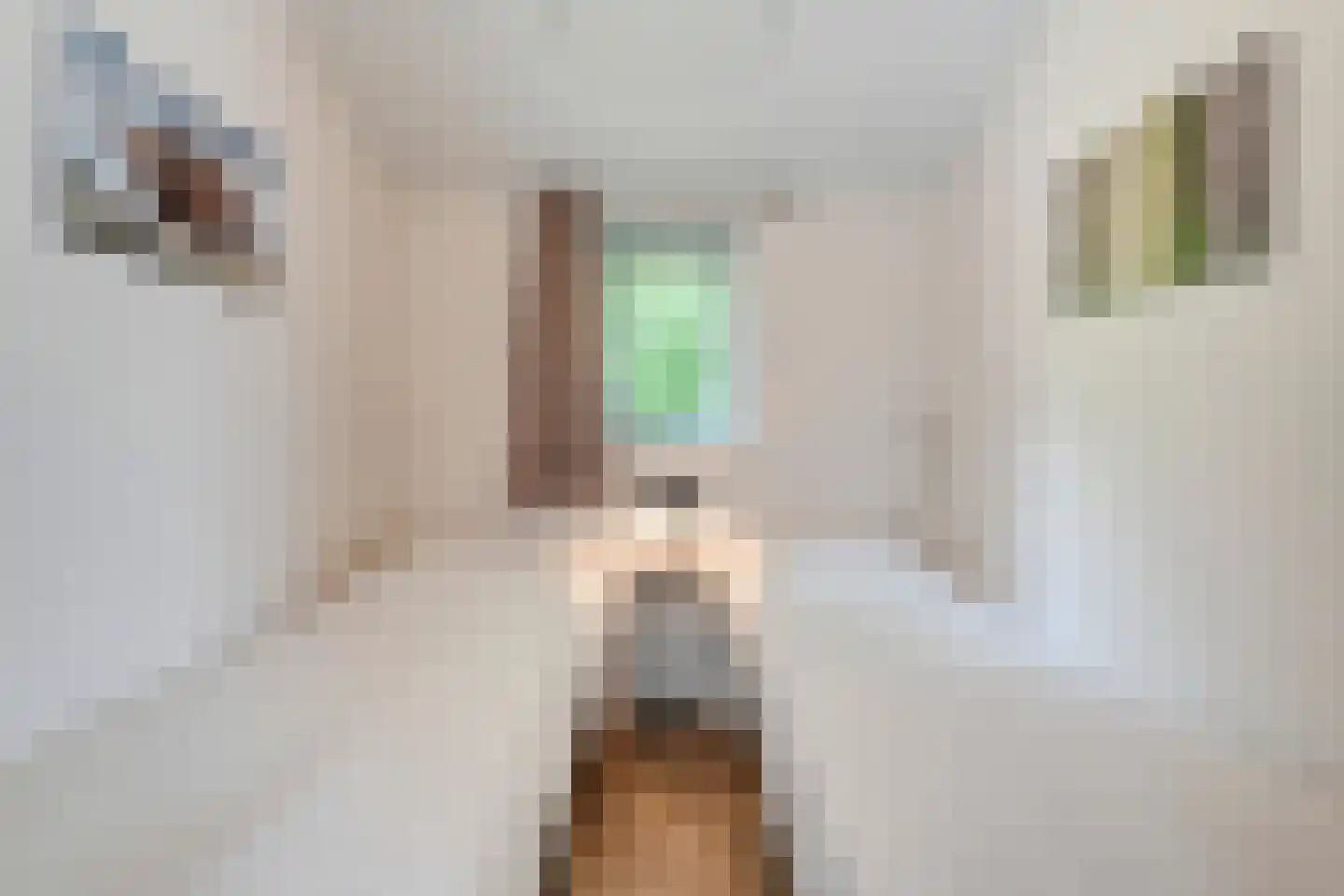 Oude Benderseweg 11 632 Ruinen thumbnail 25