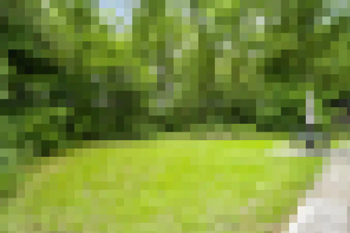 Oude Benderseweg 11 632 Ruinen thumbnail 30