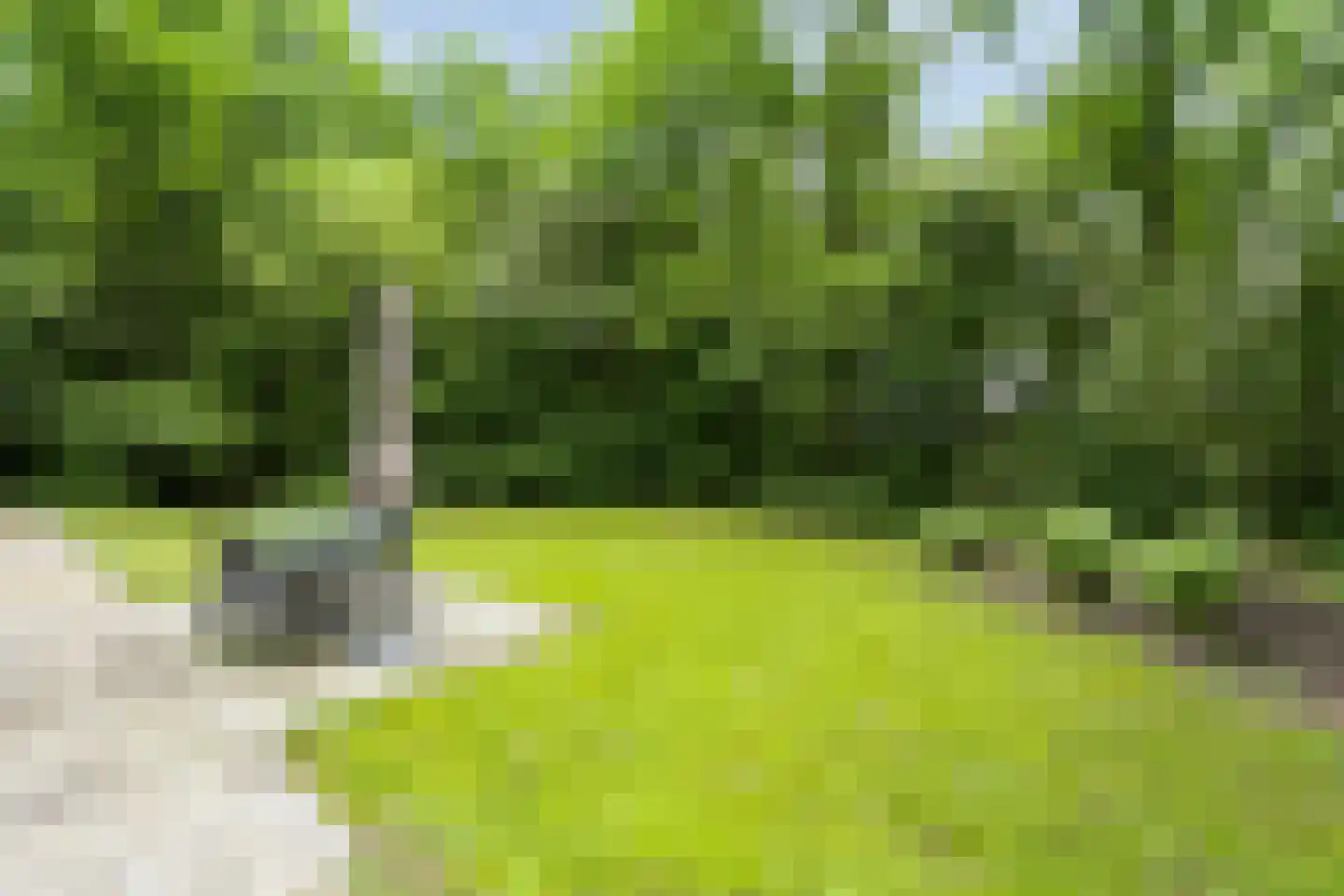 Oude Benderseweg 11 632 Ruinen thumbnail 31