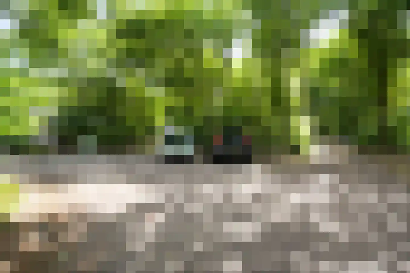 Oude Benderseweg 11 632 Ruinen thumbnail 33