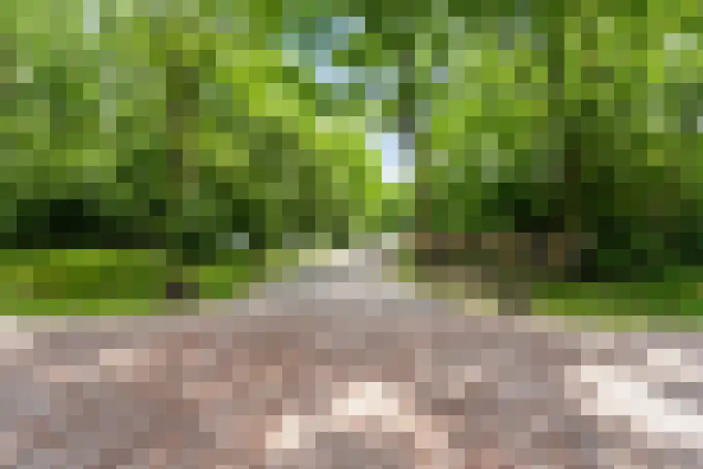 Oude Benderseweg 11 632 Ruinen thumbnail 34