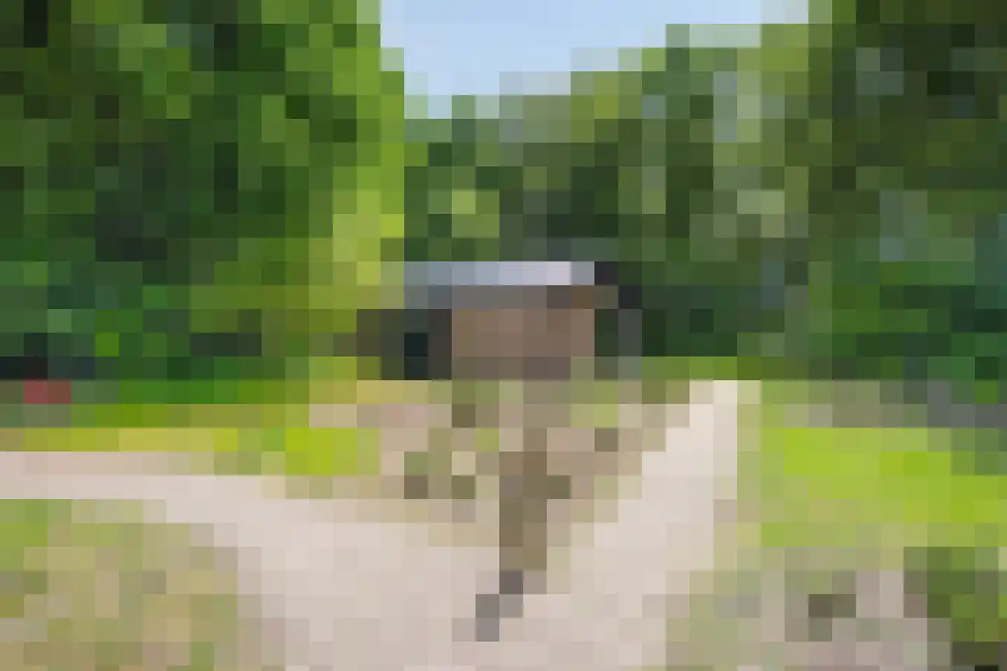 Oude Benderseweg 11 632 Ruinen thumbnail 4