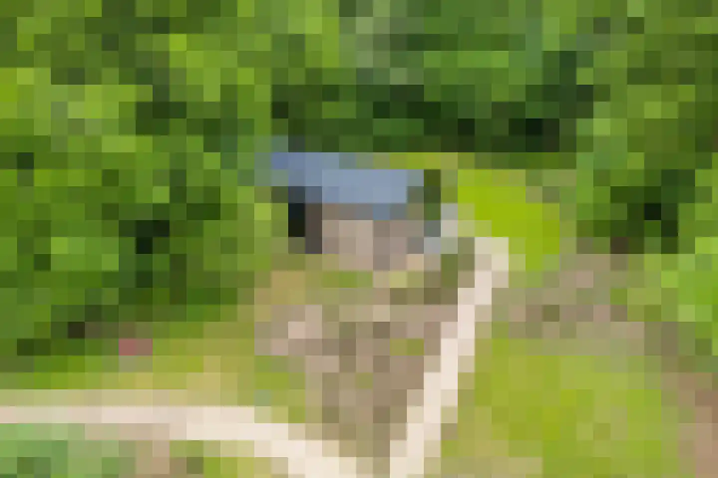 Oude Benderseweg 11 632 Ruinen thumbnail 5