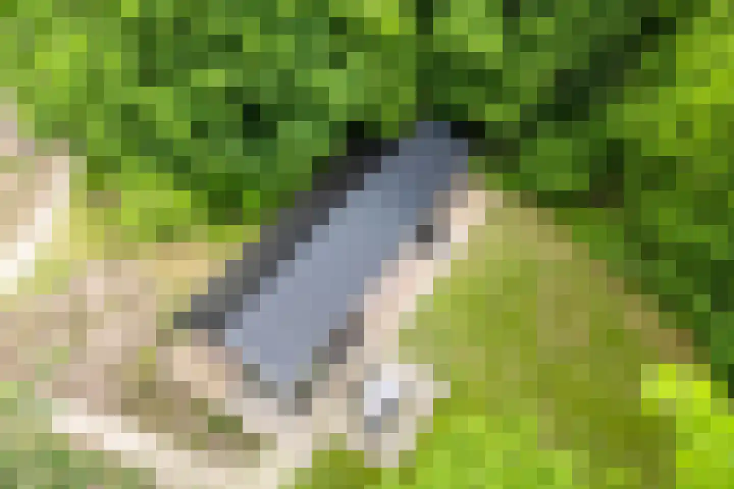 Oude Benderseweg 11 632 Ruinen thumbnail 6
