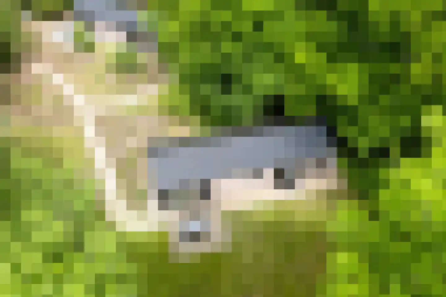 Oude Benderseweg 11 632 Ruinen thumbnail 7