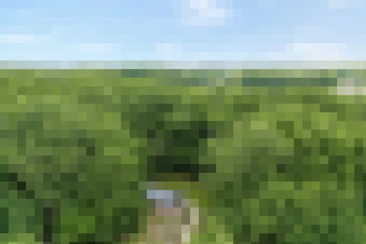 Oude Benderseweg 11 632 Ruinen thumbnail 8