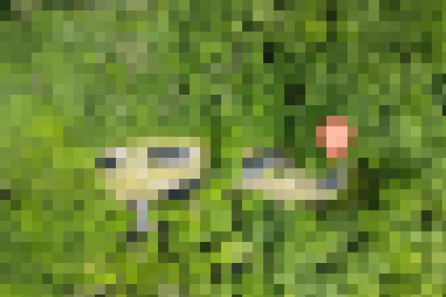 Oude Benderseweg 11 632 Ruinen thumbnail 9