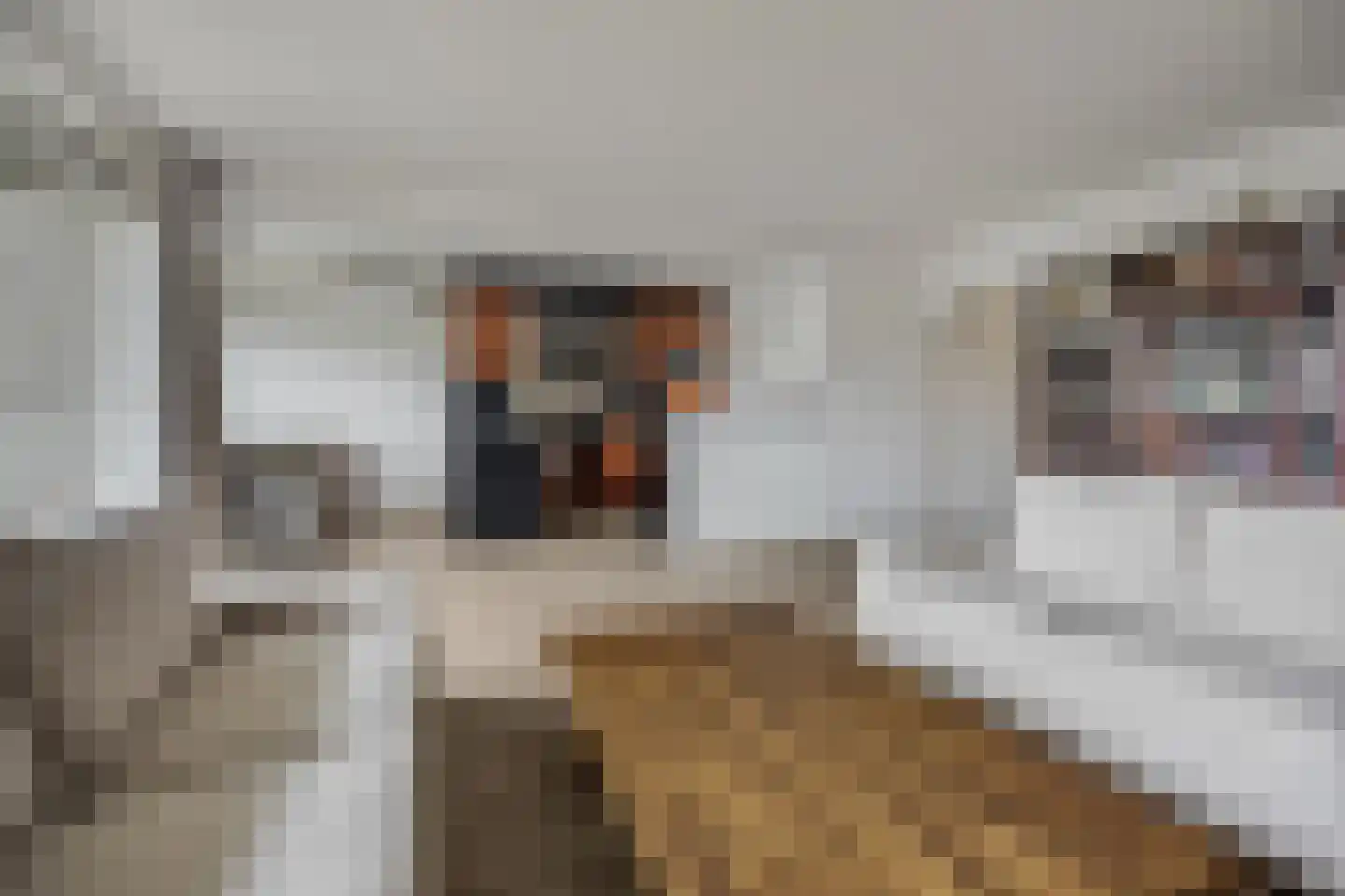 Oude Bennekomseweg 41 Ede thumbnail 15