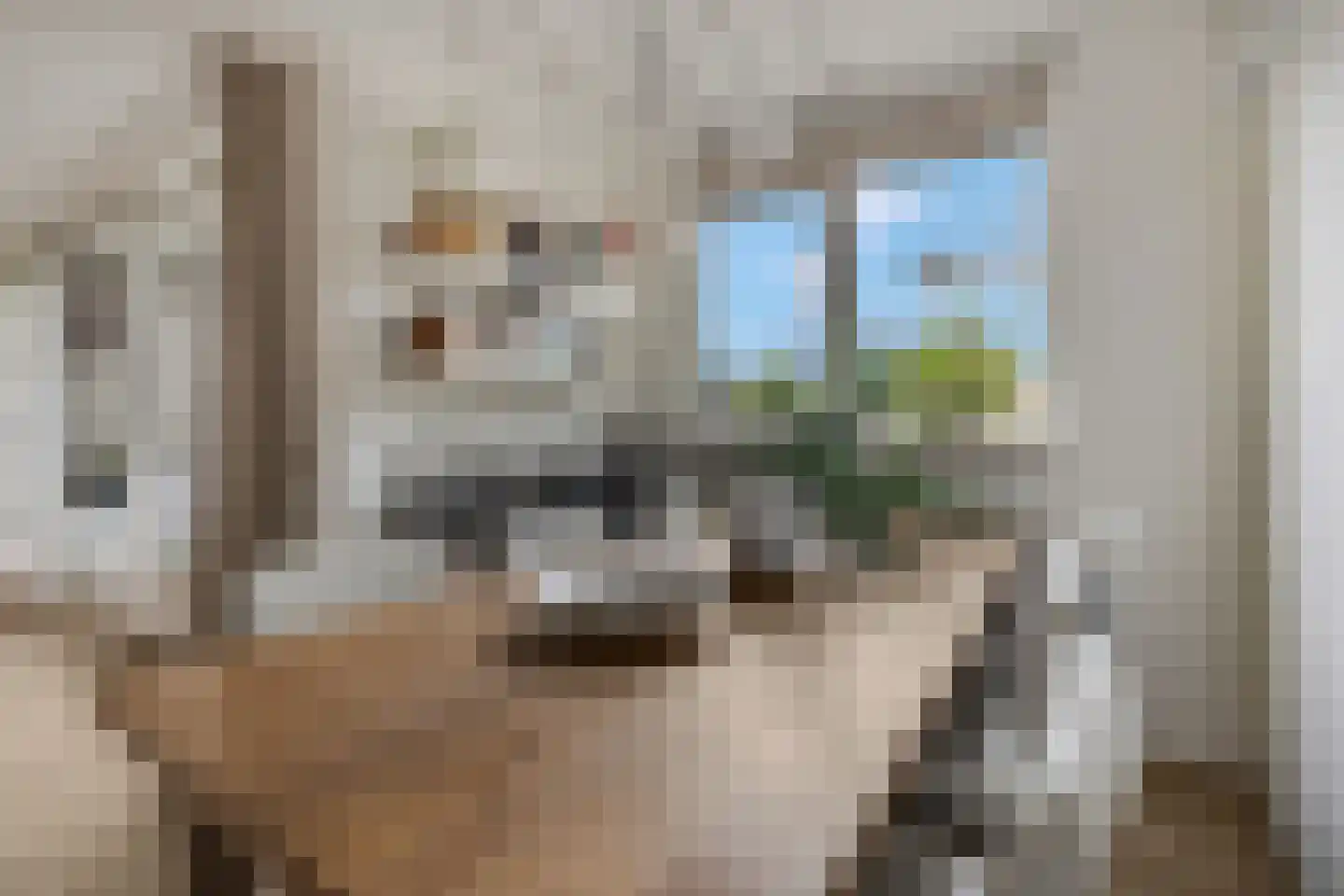 Oude Bennekomseweg 41 Ede thumbnail 18