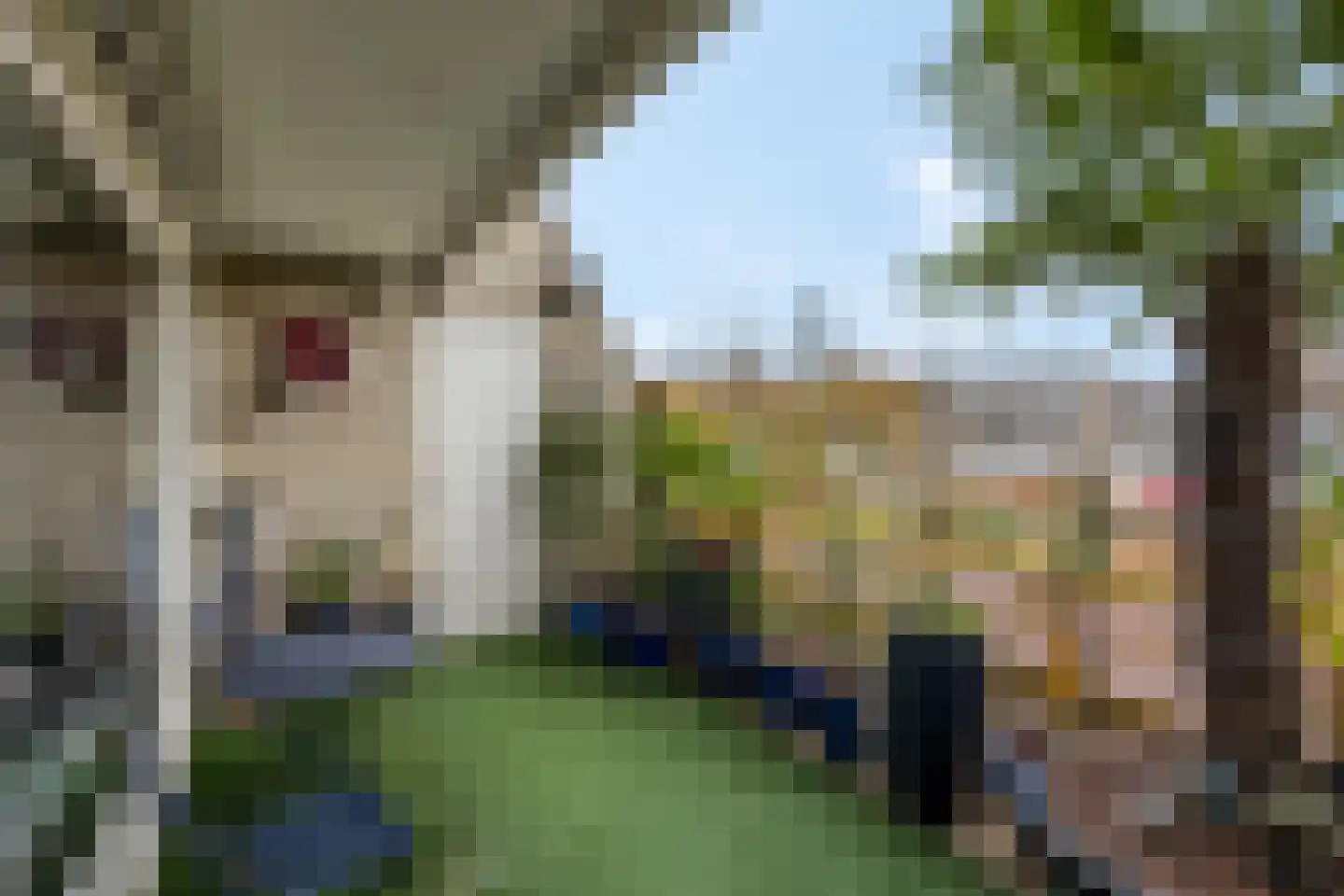 Oude Bennekomseweg 41 Ede thumbnail 31