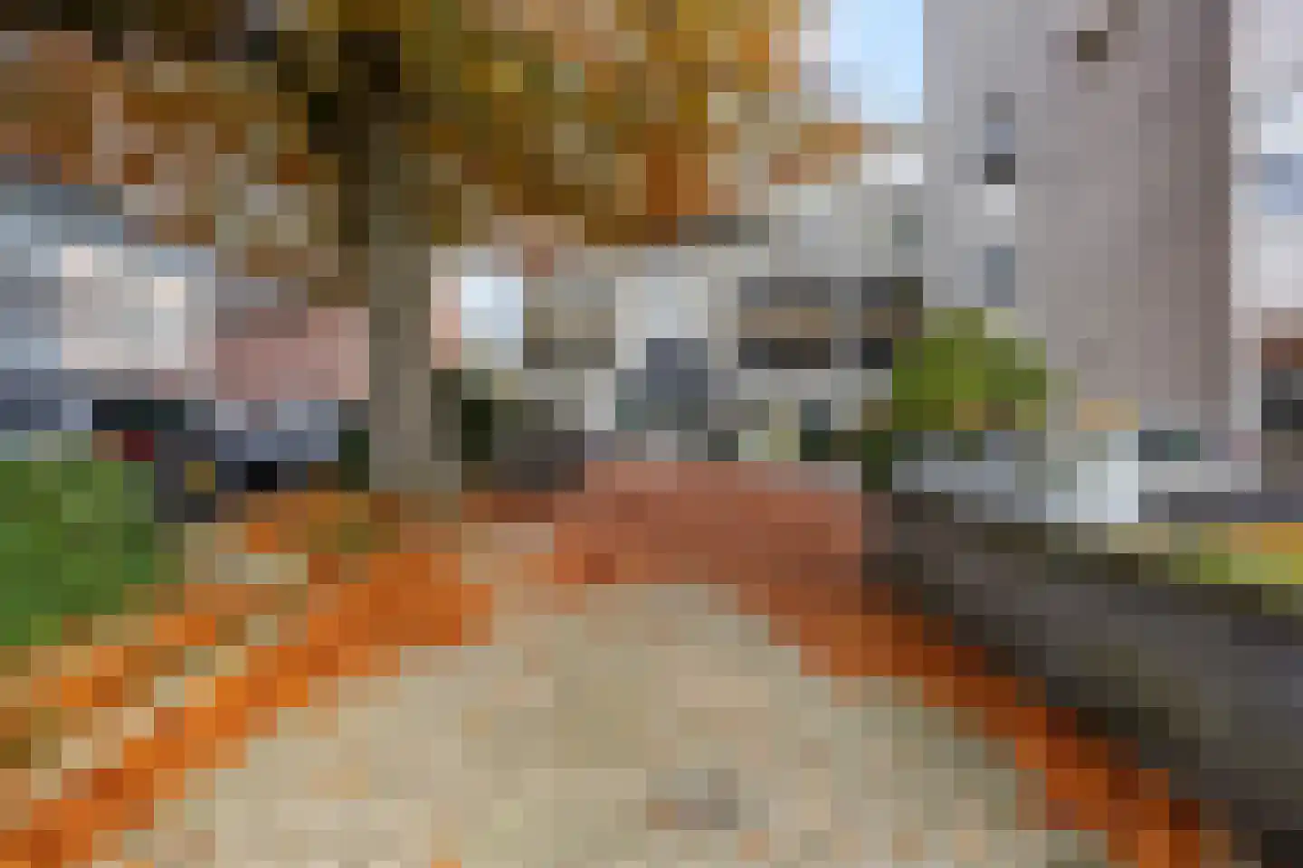 Oude Bennekomseweg 41 Ede thumbnail 6