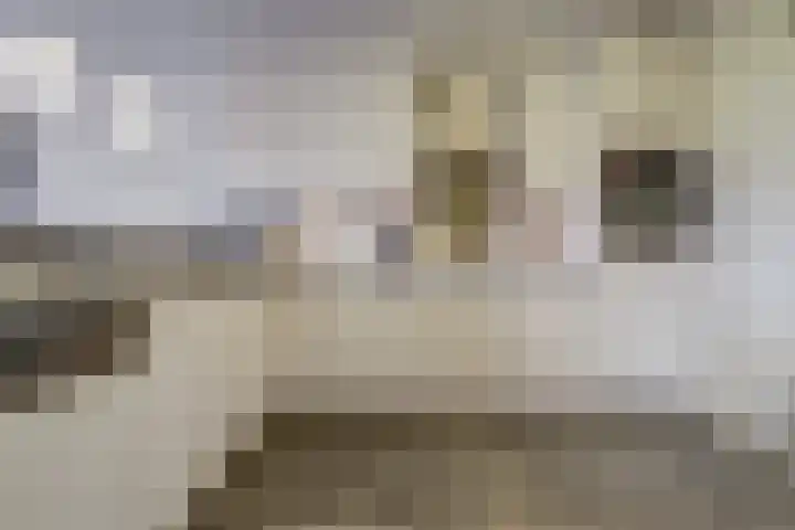 Oude Bennekomseweg 45 Ede thumbnail 18