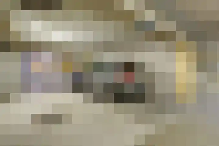 Oude Bennekomseweg 45 Ede thumbnail 33