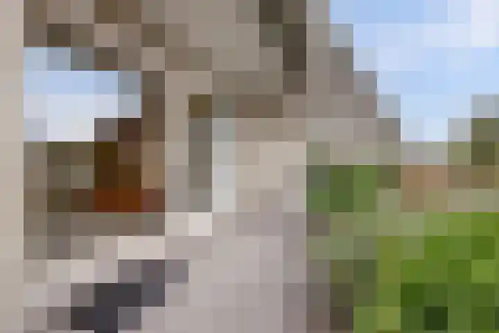Oude Bennekomseweg 45 Ede thumbnail 36