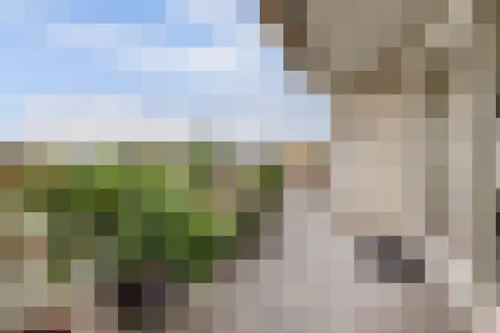 Oude Bennekomseweg 45 Ede thumbnail 37