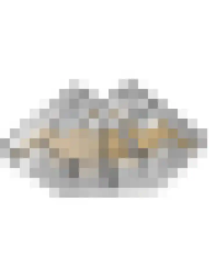 Oude Bennekomseweg 45 Ede thumbnail 44
