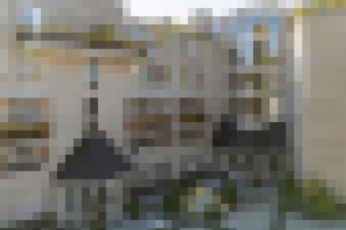 Oude Bennekomseweg 51 Ede thumbnail 44