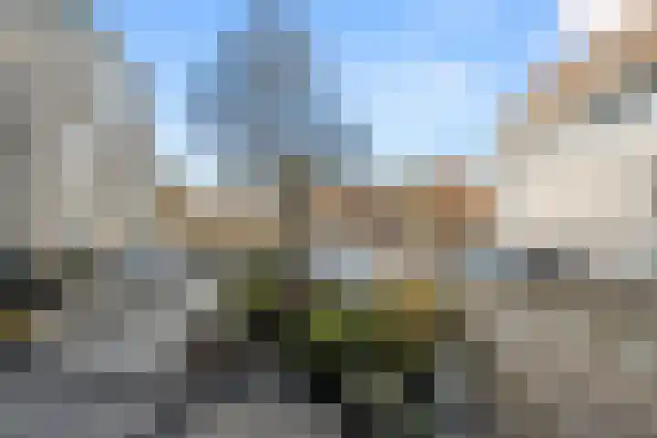 Oude Bennekomseweg 67 Ede thumbnail 43