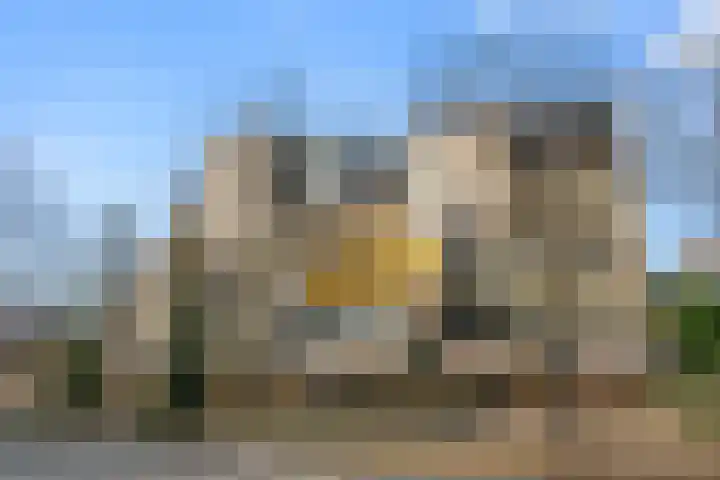 Oude Bennekomseweg 67 Ede thumbnail 7
