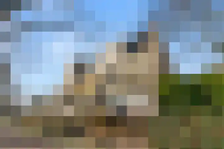 Oude Bennekomseweg 67 Ede thumbnail 8