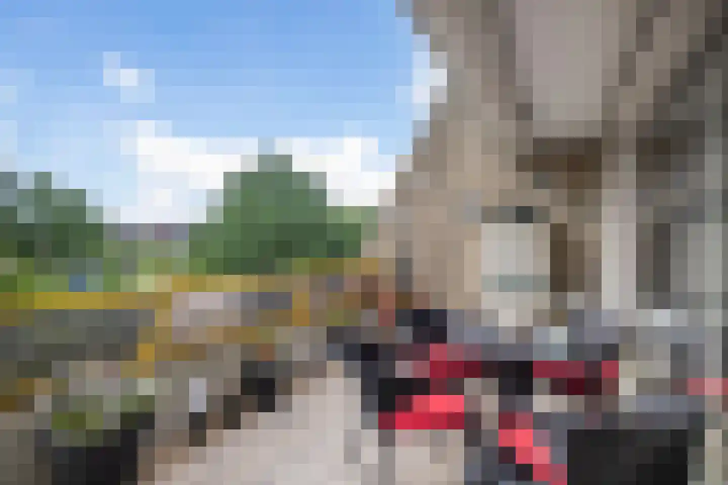 Oude Bennekomseweg 69 Ede thumbnail 16