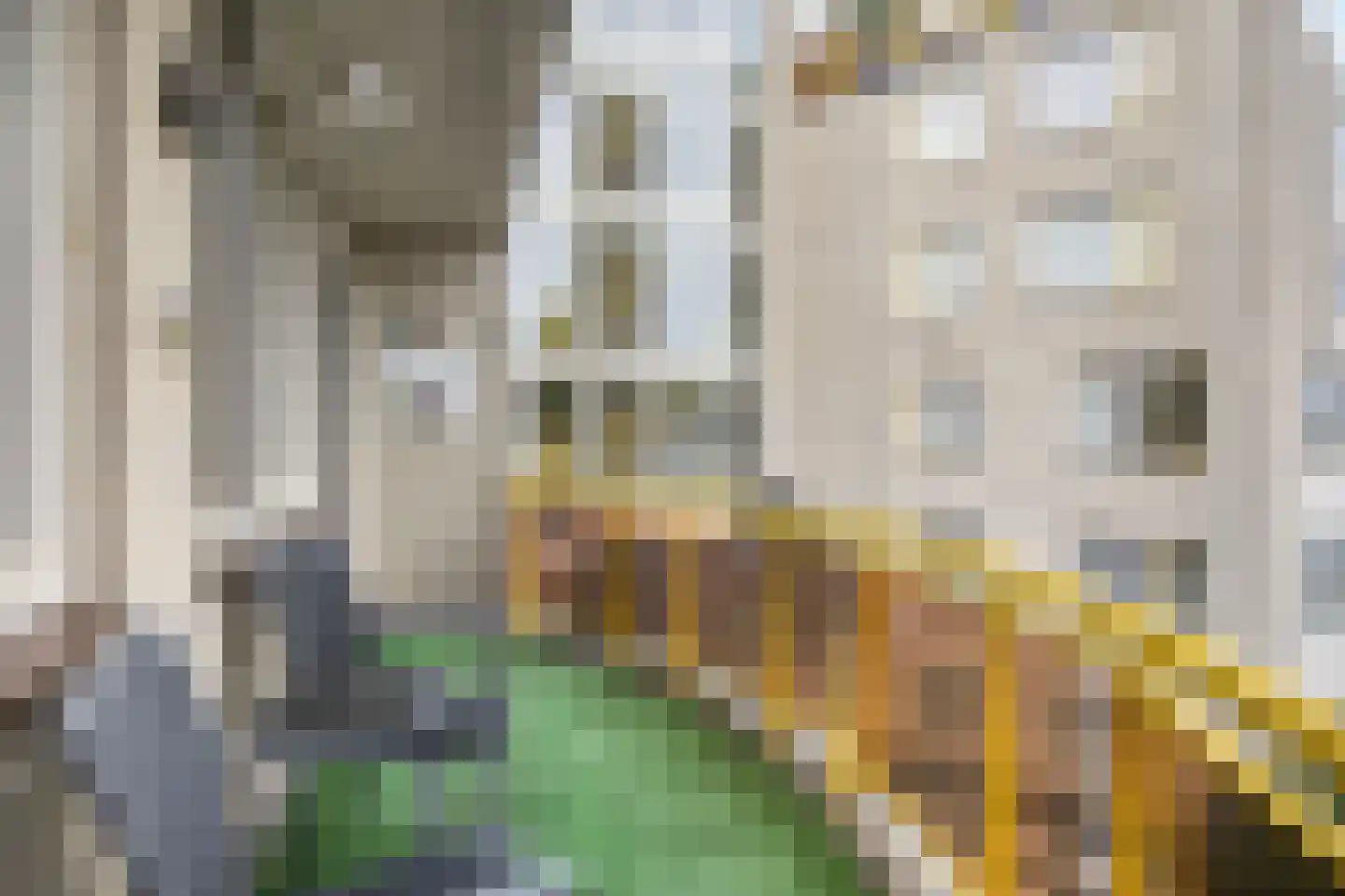 Oude Bennekomseweg 69 Ede thumbnail 21