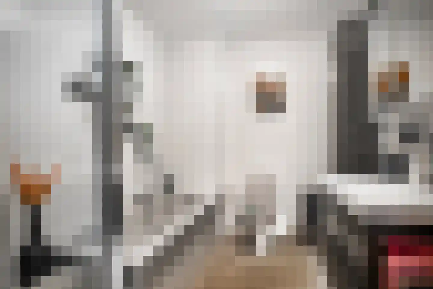 Oude Bennekomseweg 69 Ede thumbnail 24