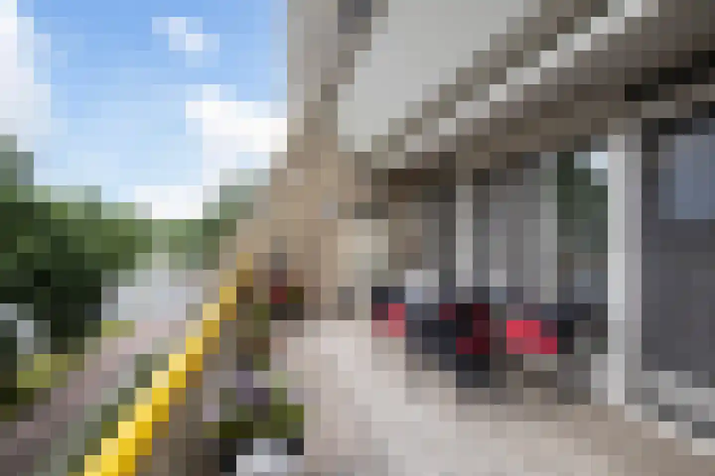 Oude Bennekomseweg 69 Ede thumbnail 4