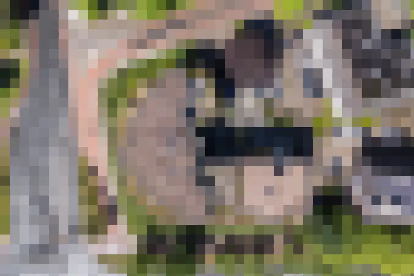 Oude Bennekomseweg 69 Ede thumbnail 44