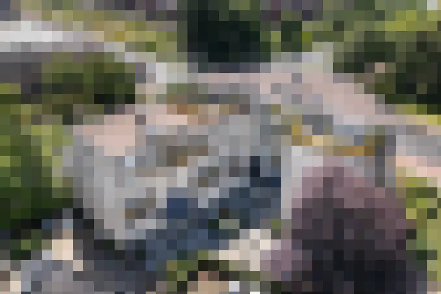Oude Bennekomseweg 69 Ede thumbnail 45
