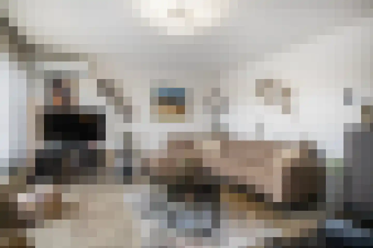 Oude Bennekomseweg 69 Ede thumbnail 9