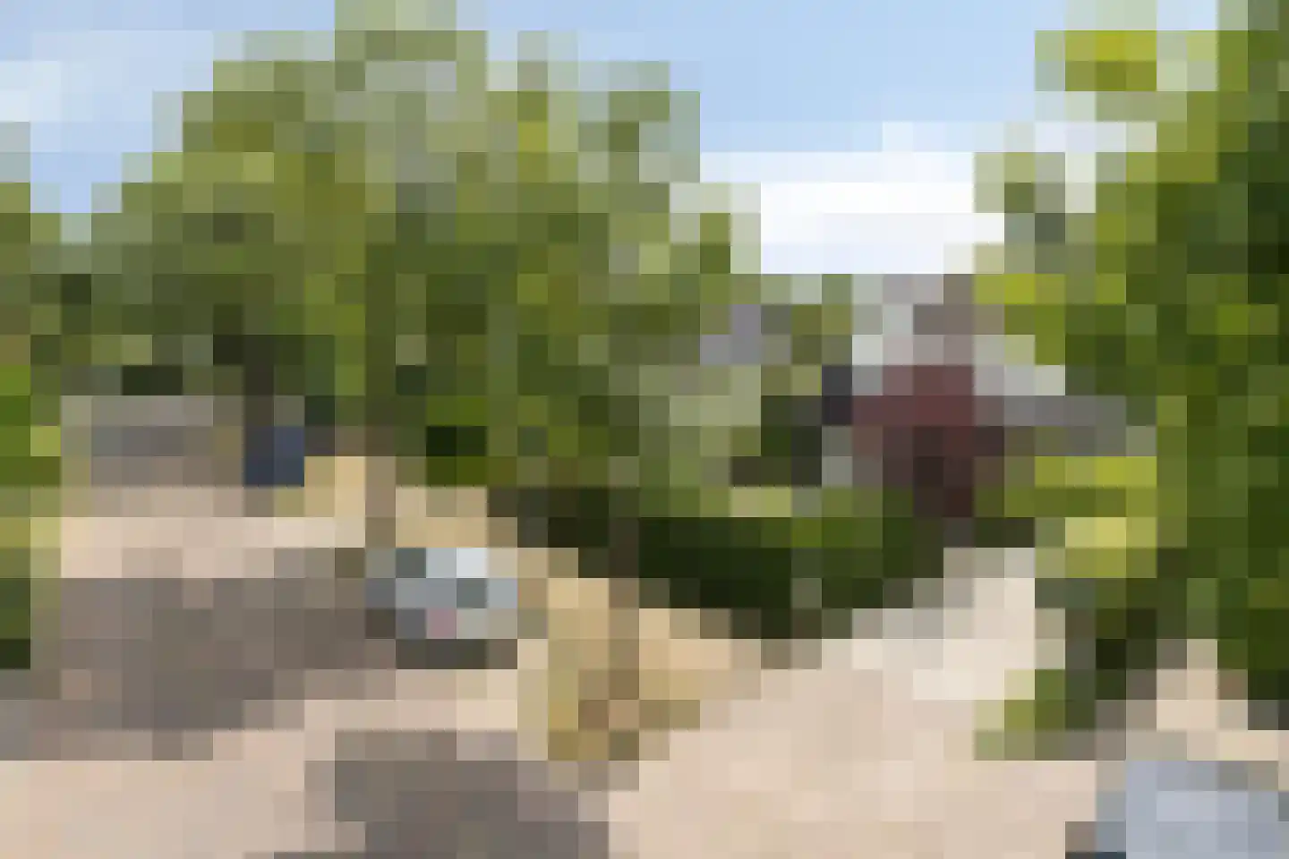 Oude Bergerweg 70 Bergen (NH) thumbnail 46