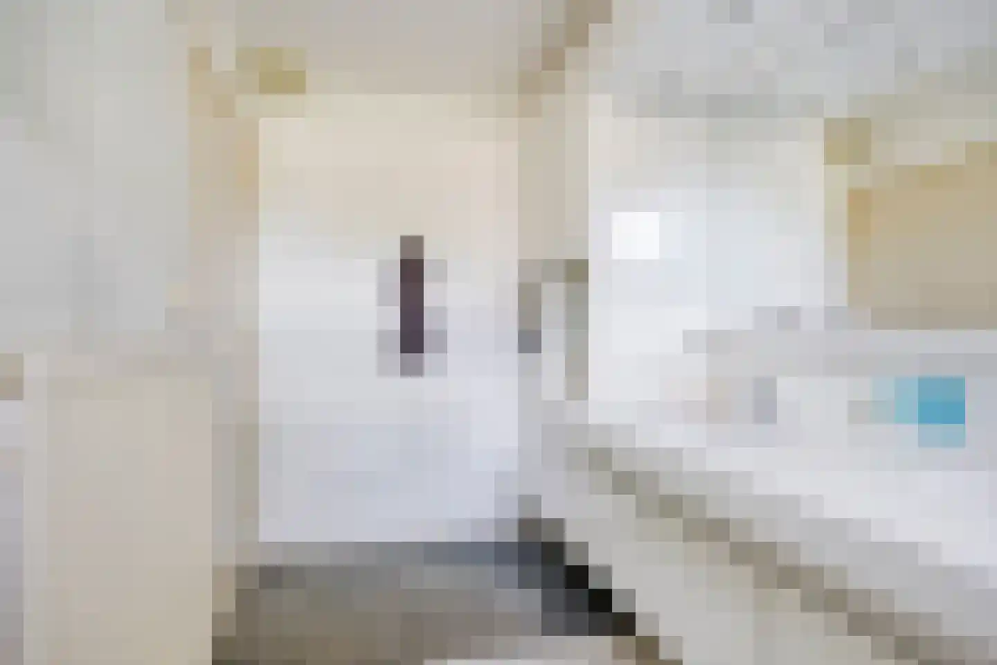 Oude Bestseweg 5 A Oirschot thumbnail 28