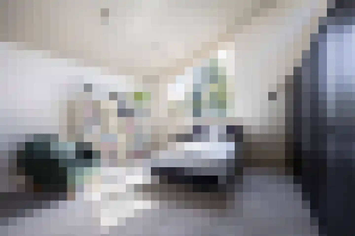 Oude Bestseweg 5 A Oirschot thumbnail 30