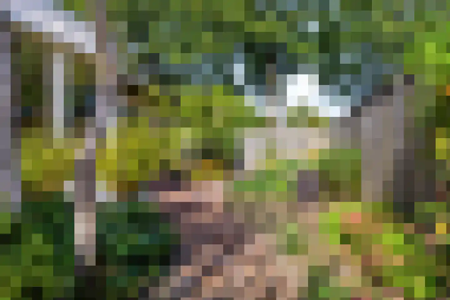 Oude Bestseweg 5 A Oirschot thumbnail 57