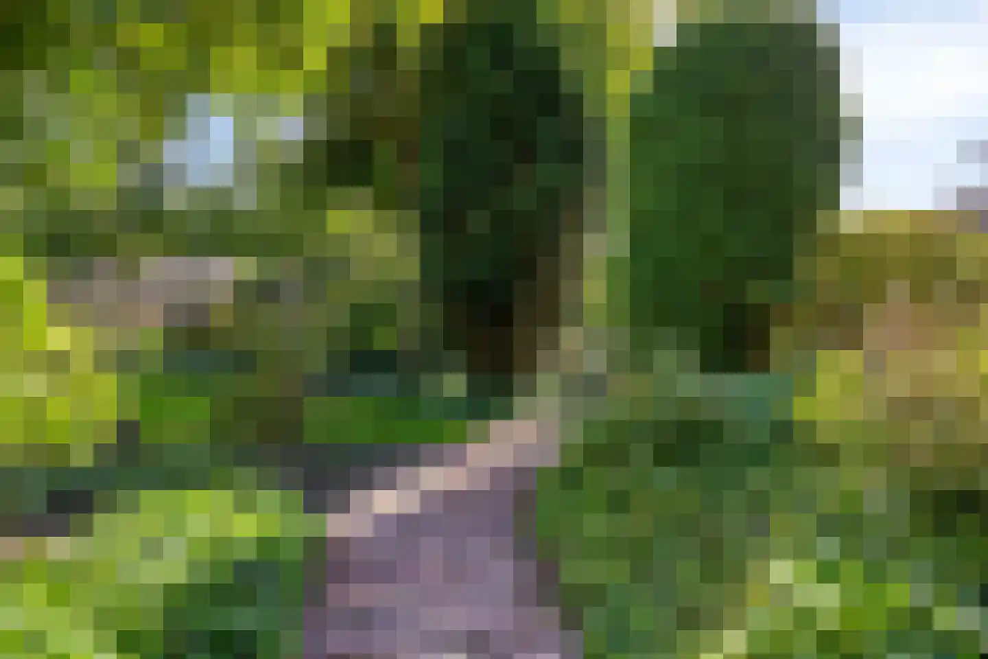 Oude Bestseweg 5 A Oirschot thumbnail 63