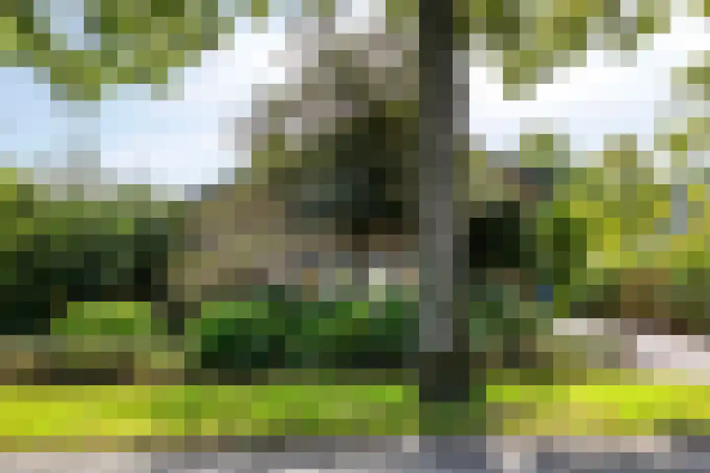Oude Bestseweg 5 A Oirschot thumbnail 64