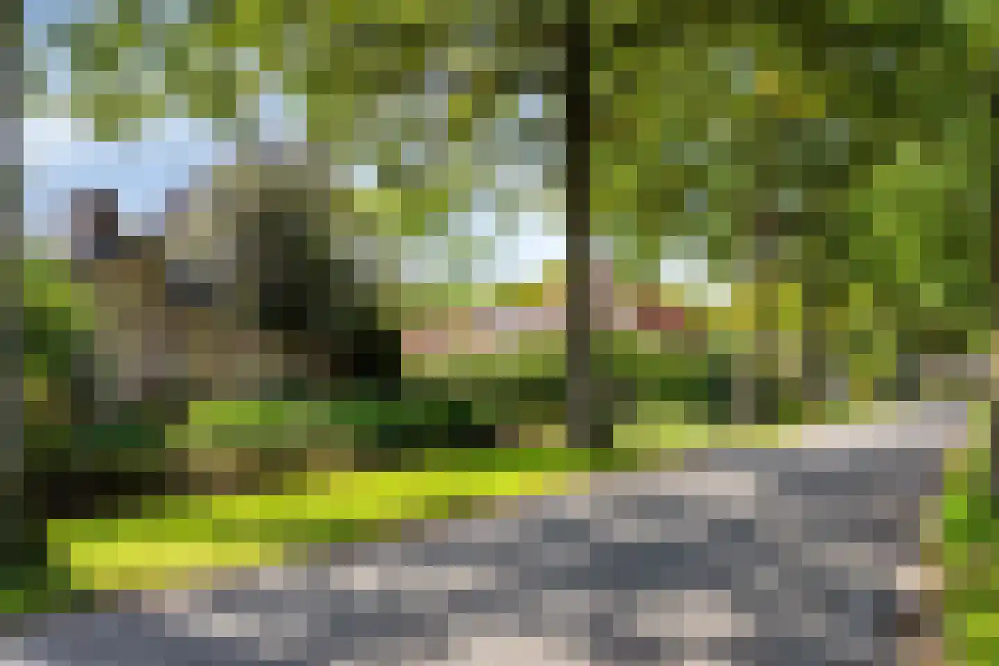 Oude Bestseweg 5 A Oirschot thumbnail 65