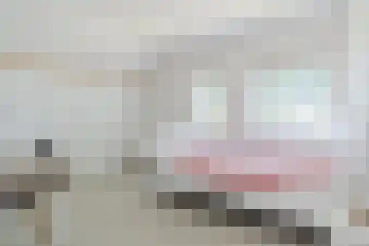 Oude Bestseweg 7 A Oirschot thumbnail 23