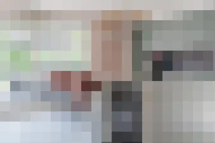 Oude Bestseweg 7 A Oirschot thumbnail 9