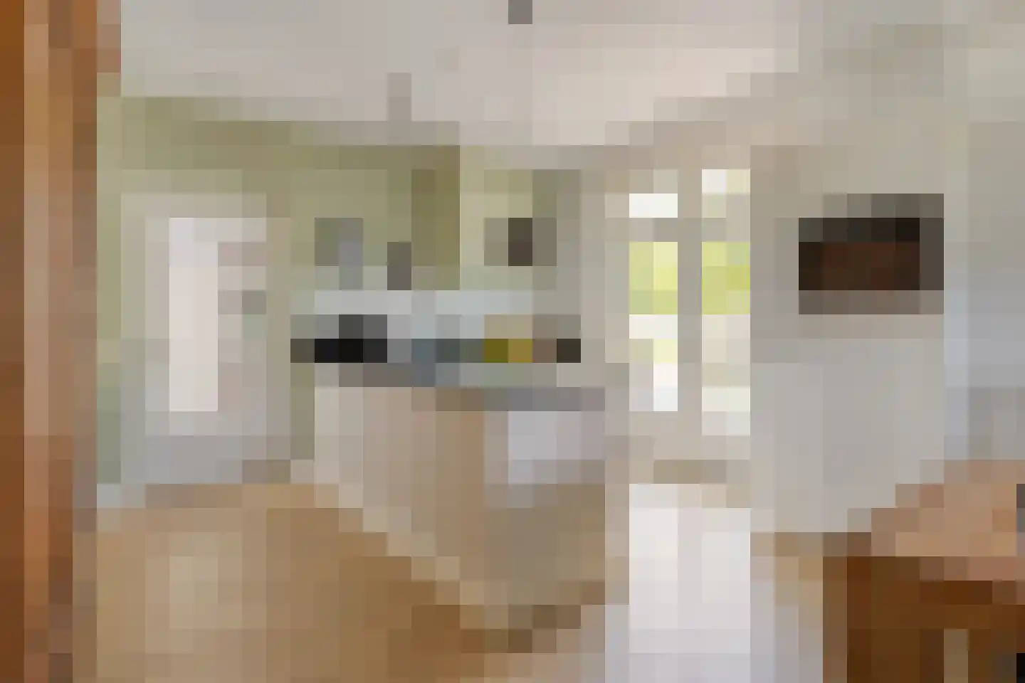 Oude Bestseweg 7 Oirschot thumbnail 21