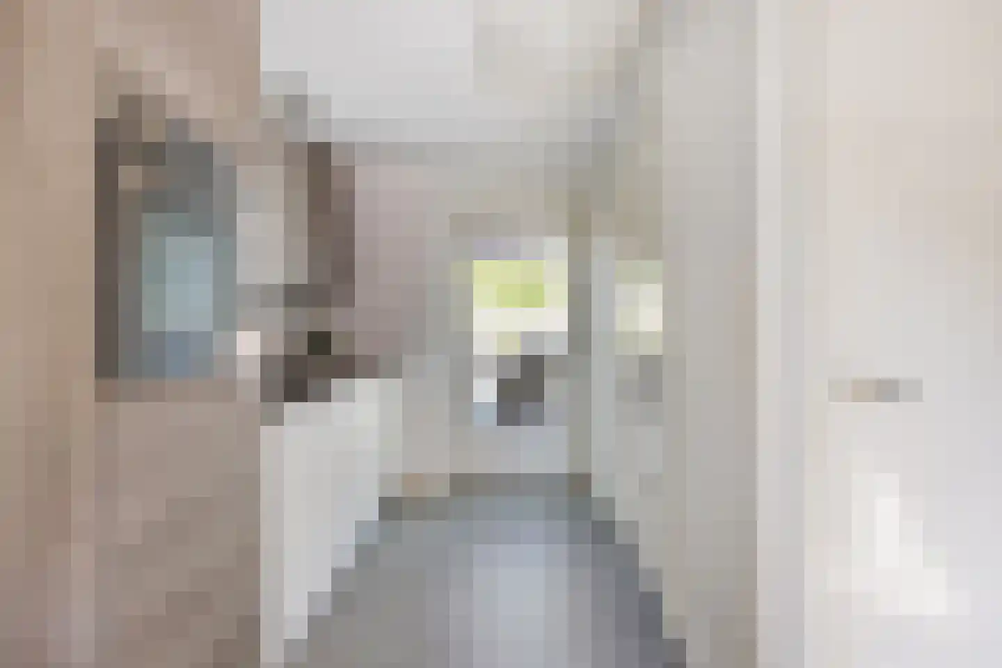Oude Bestseweg 7 Oirschot thumbnail 27