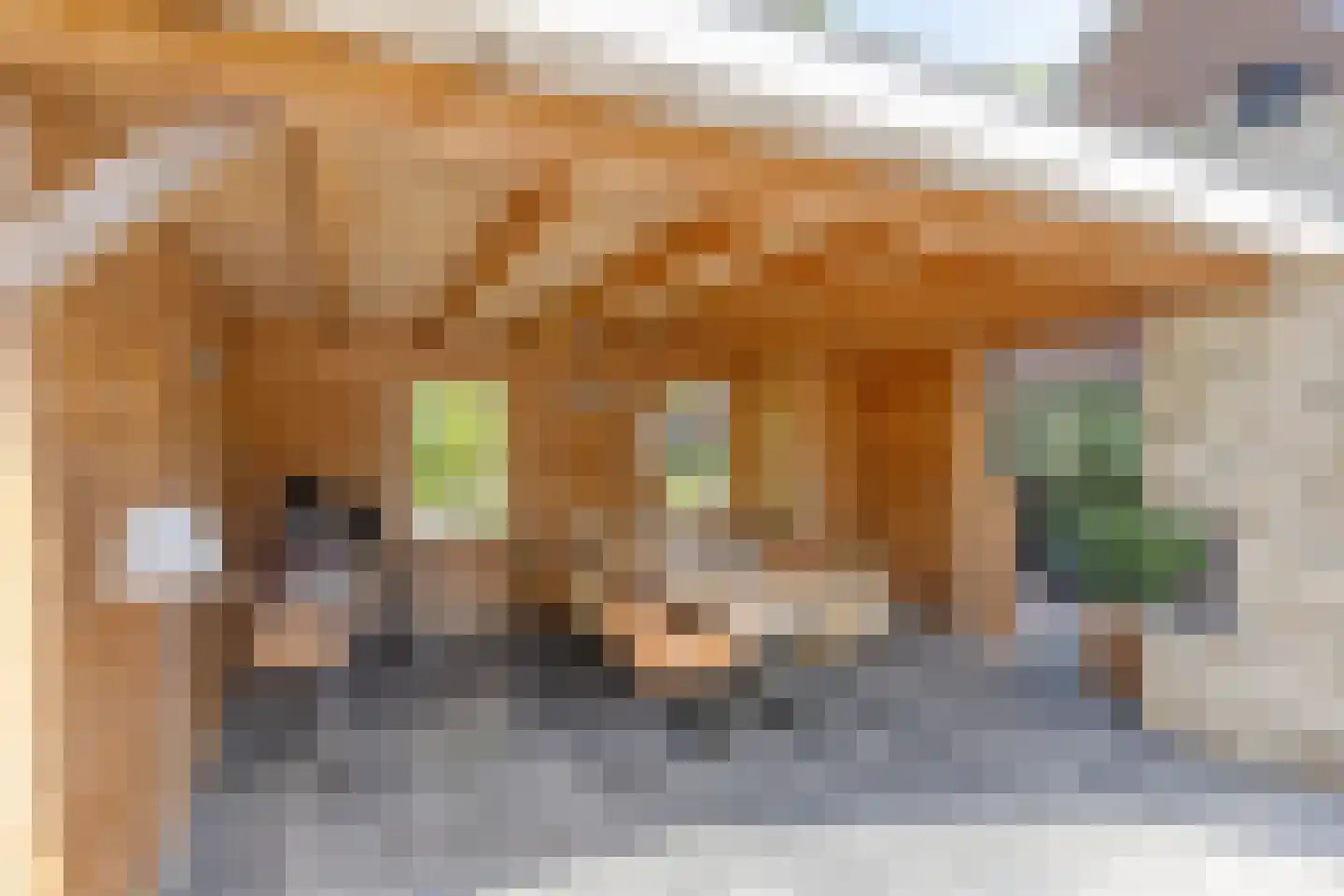 Oude Bestseweg 7 Oirschot thumbnail 59
