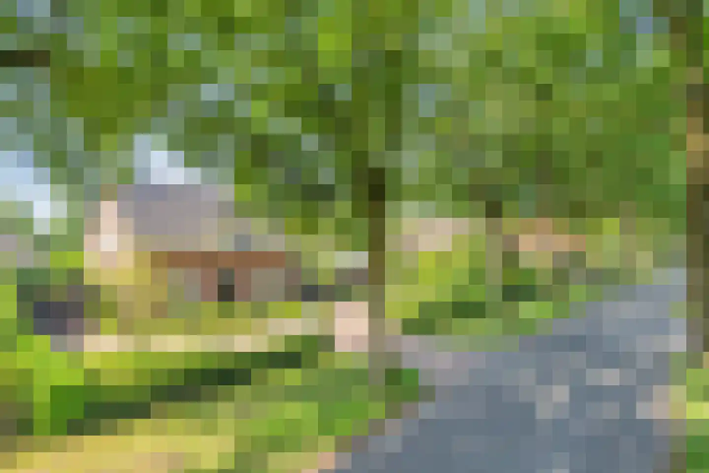 Oude Bestseweg 7 Oirschot thumbnail 6