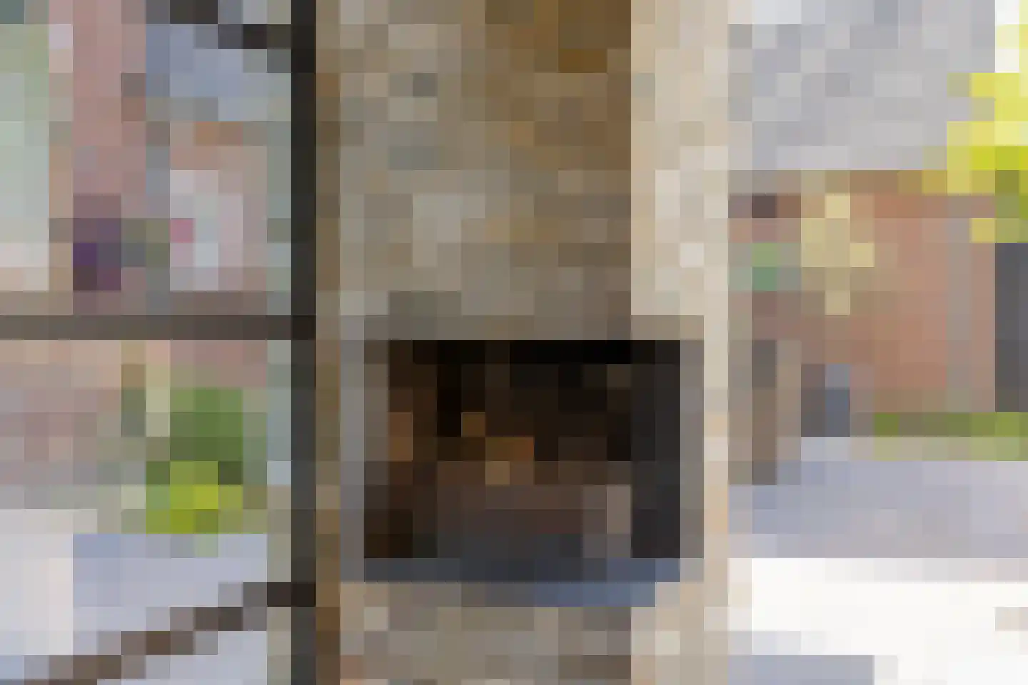 Oude Bestseweg 7 Oirschot thumbnail 60